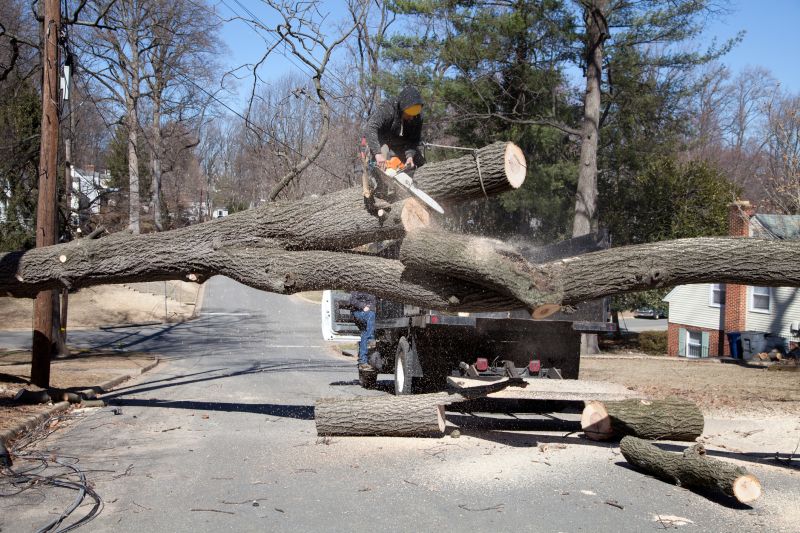 Municipal Tree Departments